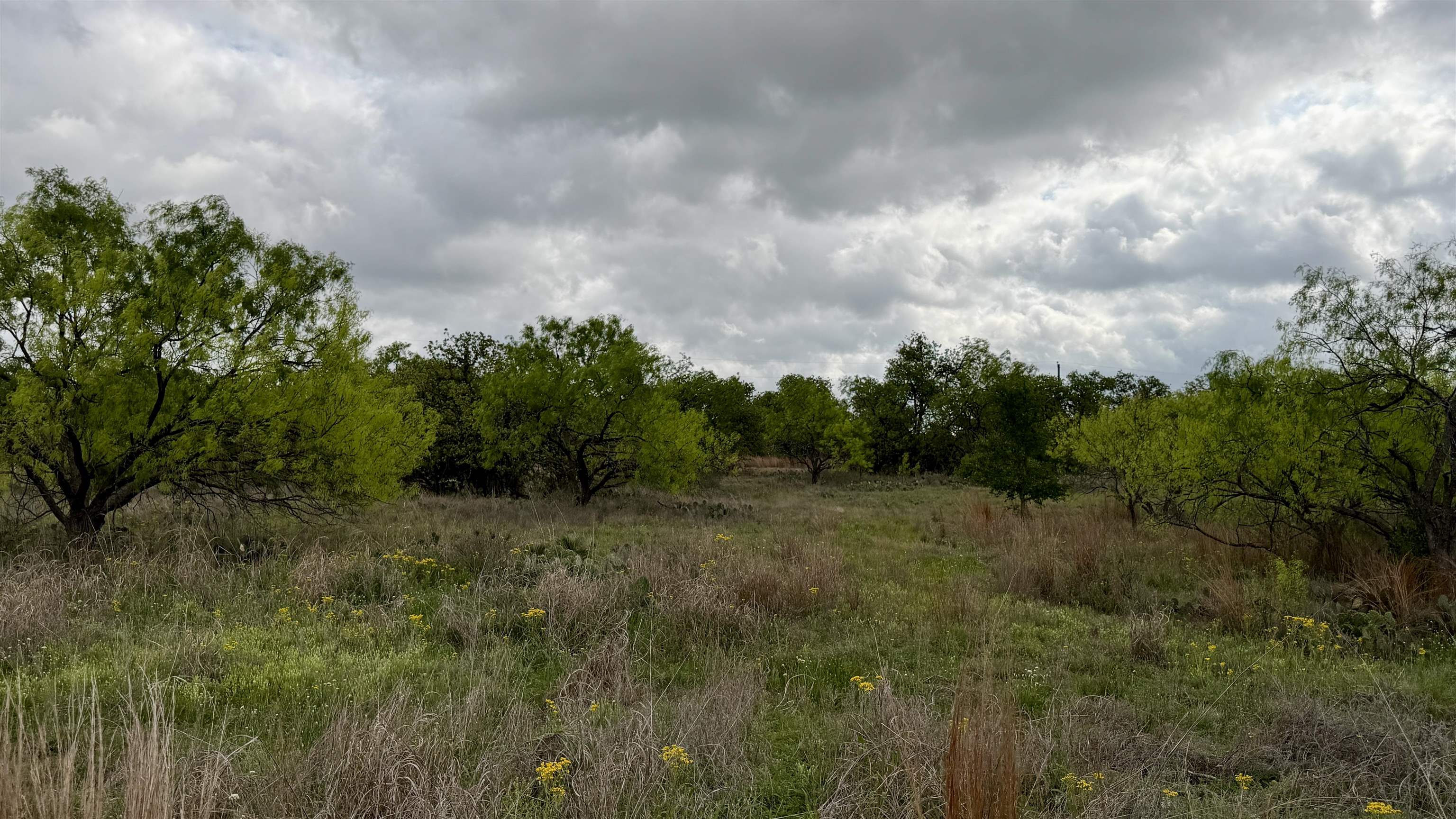 Lt 129 Brent Kingsland TX 78639