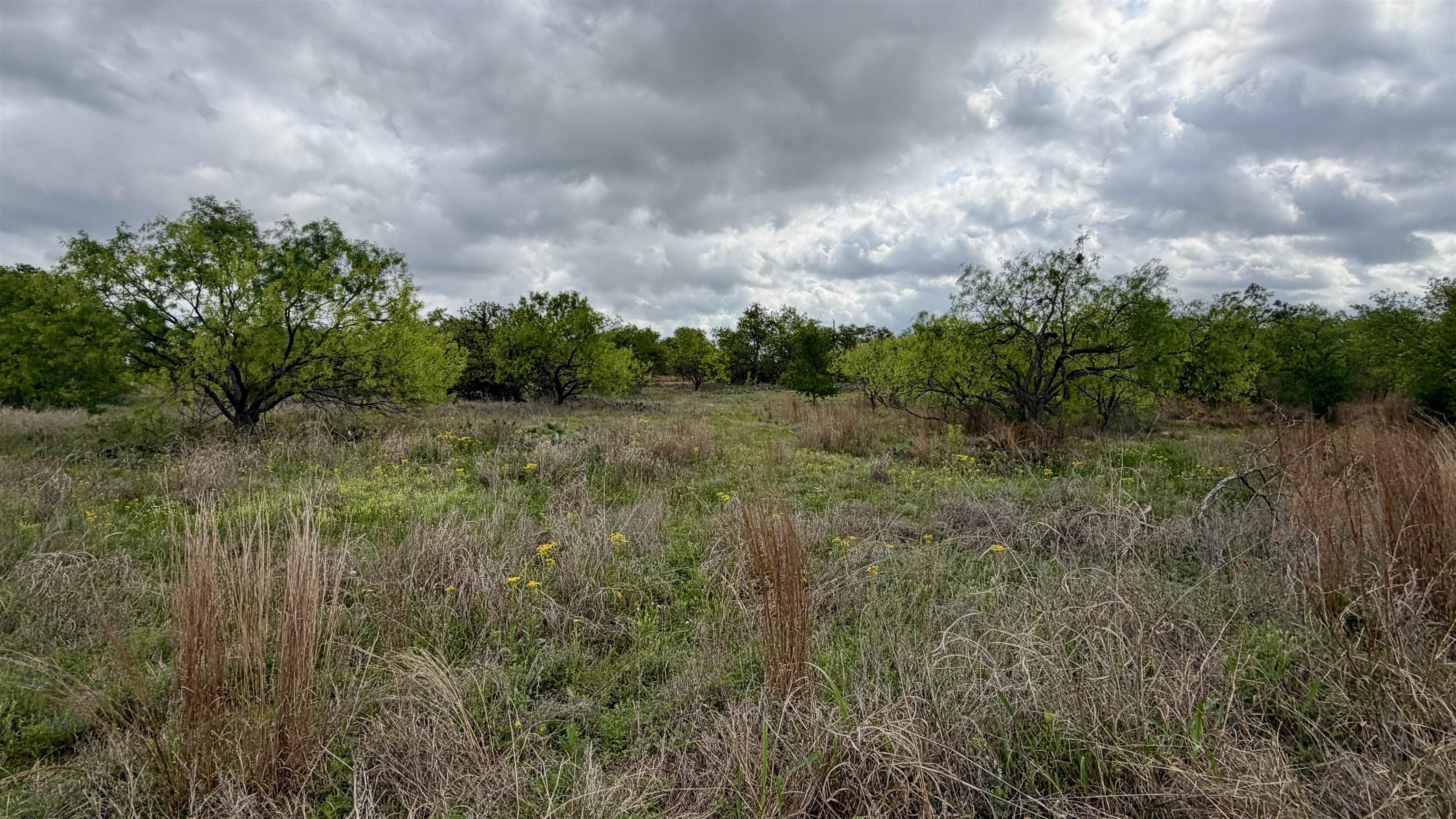 Lt 129 Brent Kingsland TX 78639
