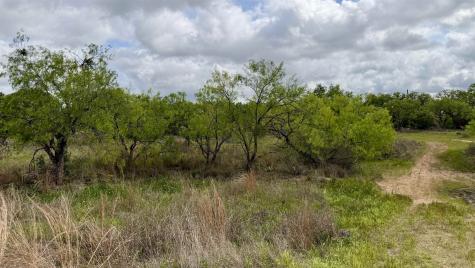 Lt 129 Brent Kingsland TX 78639
