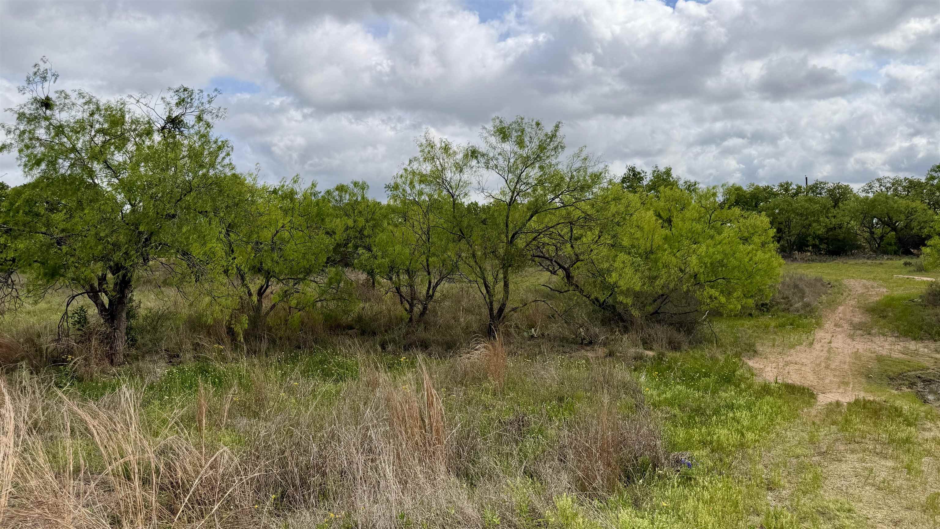 Lt 129 Brent Kingsland TX 78639
