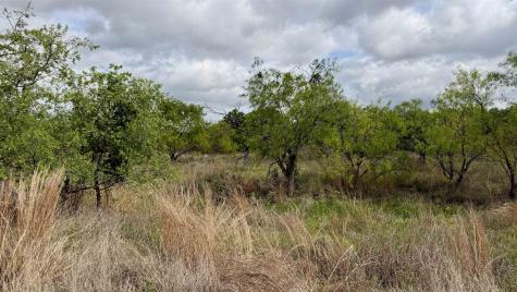Lt 129 Brent Kingsland TX 78639