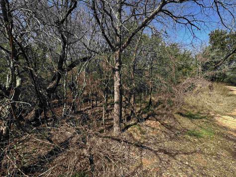 Lot 12 Longhorn Drive Burnet TX 78611