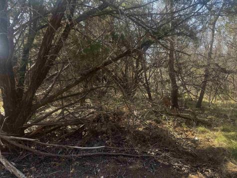 Lot 12 Longhorn Drive Burnet TX 78611