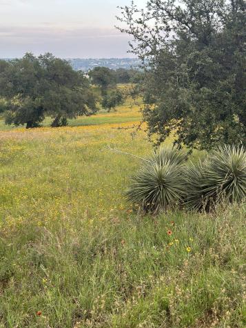 100 Ridge Horseshoe Bay TX 78657