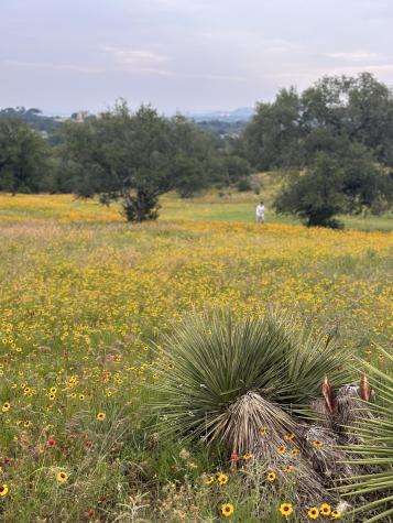 100 Ridge Horseshoe Bay TX 78657