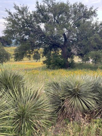 100 Ridge Horseshoe Bay TX 78657