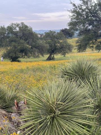 100 Ridge Horseshoe Bay TX 78657