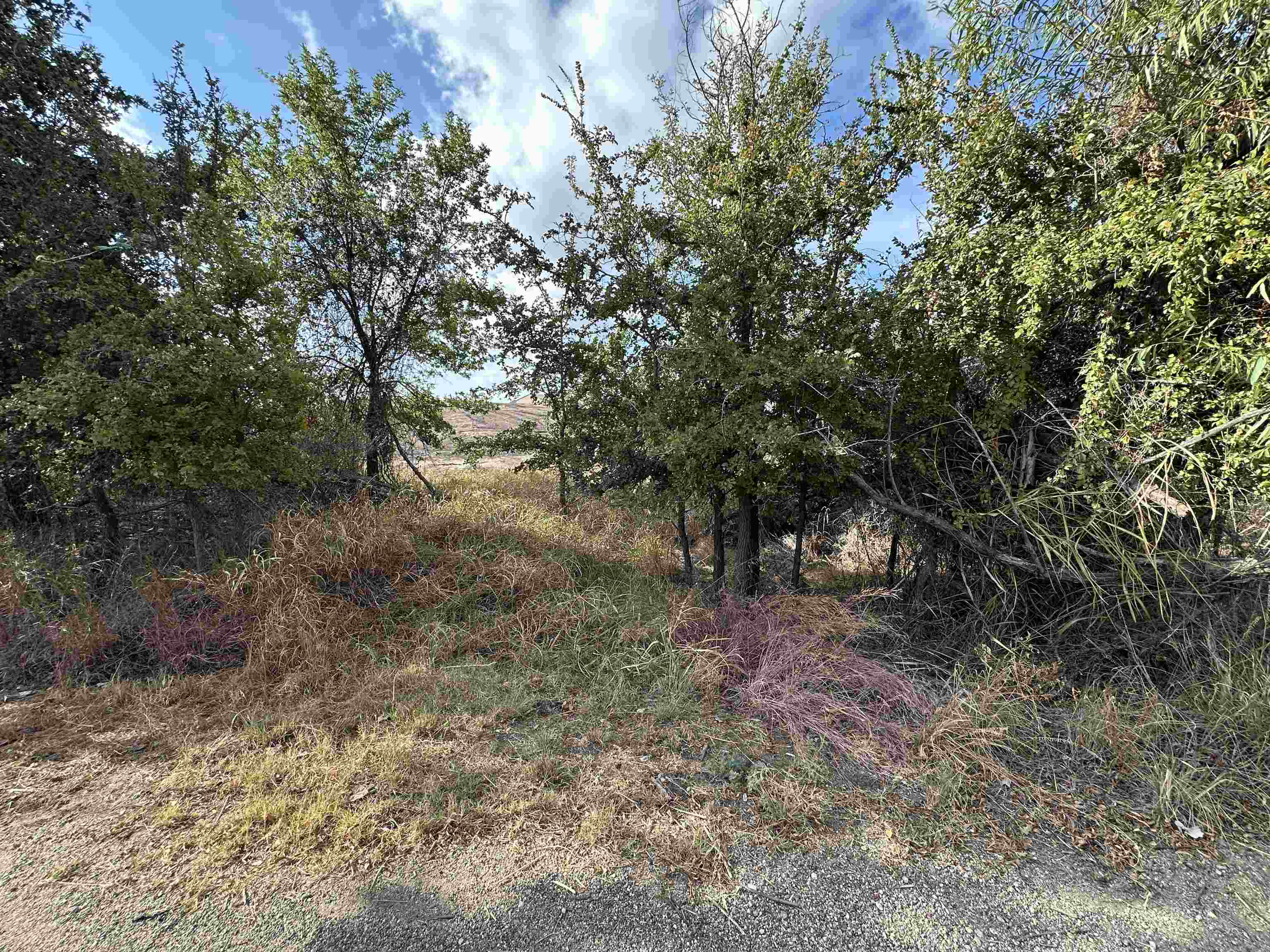Tbd Hill Drive Granite Shoals TX 78654
