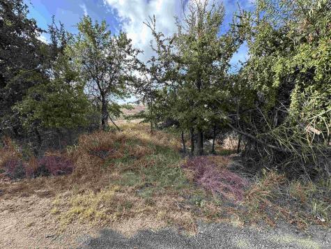 Tbd Hill Drive Granite Shoals TX 78654