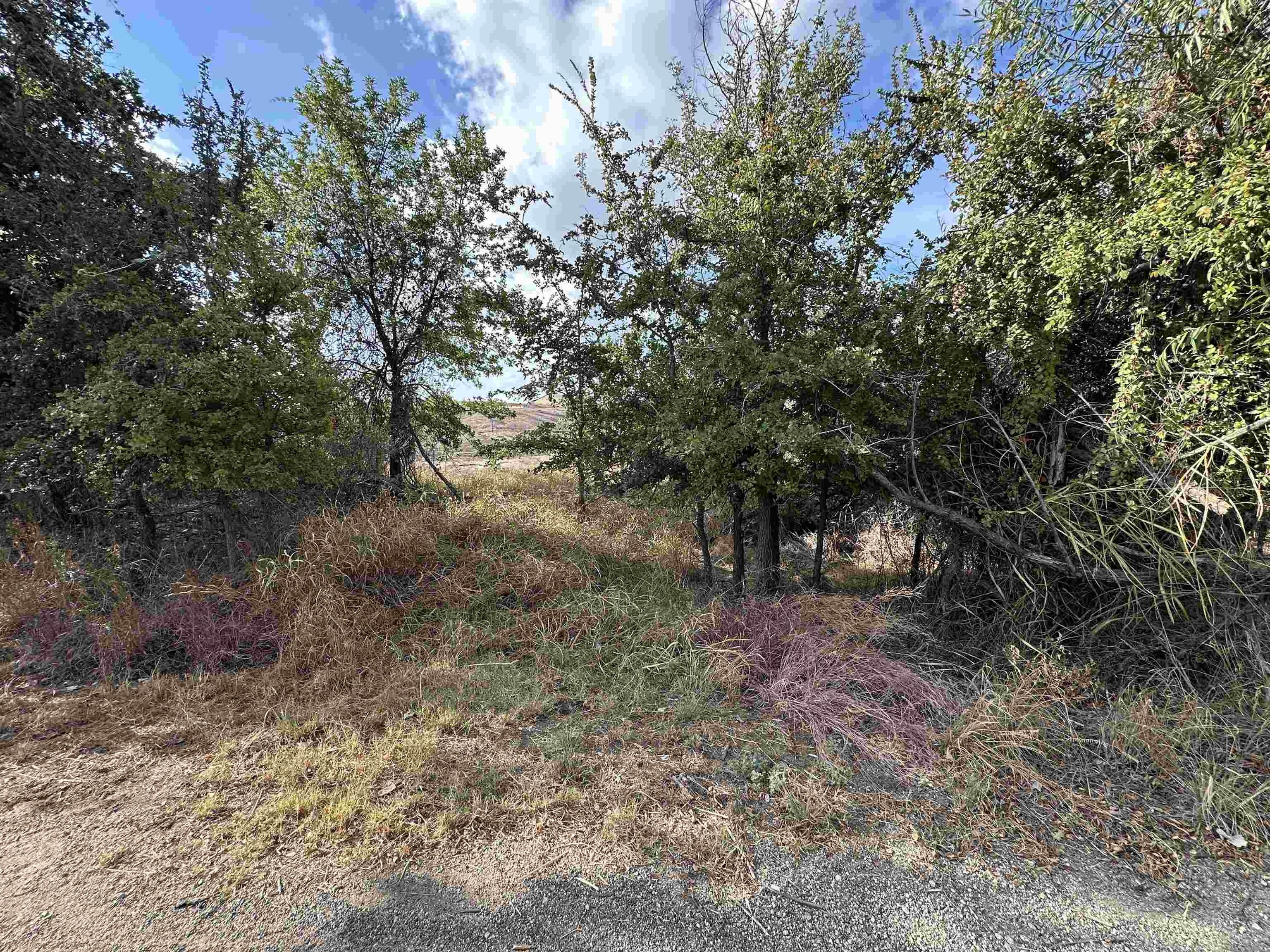 Tbd Hill Drive Granite Shoals TX 78654