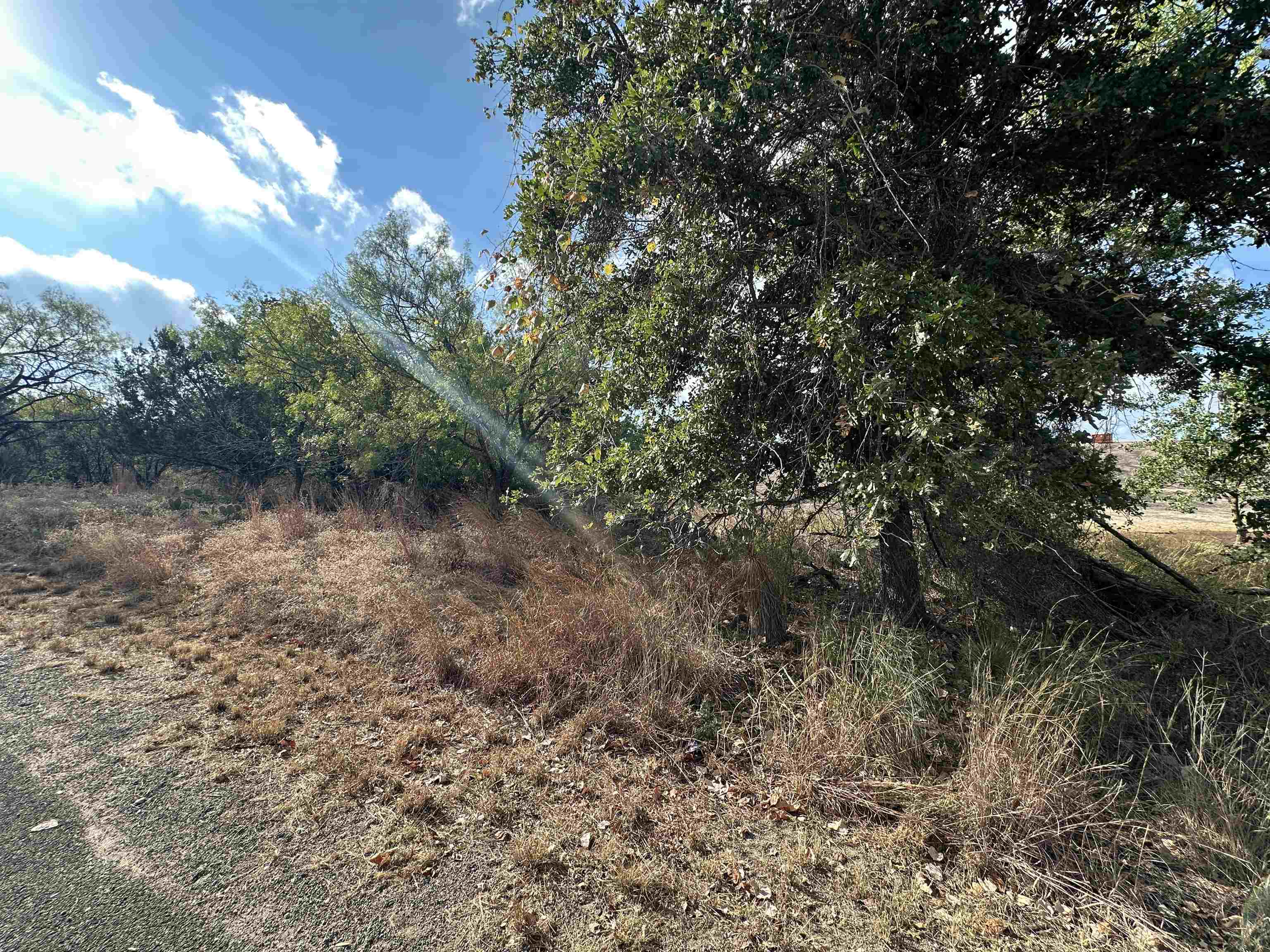 Tbd Hill Drive Granite Shoals TX 78654