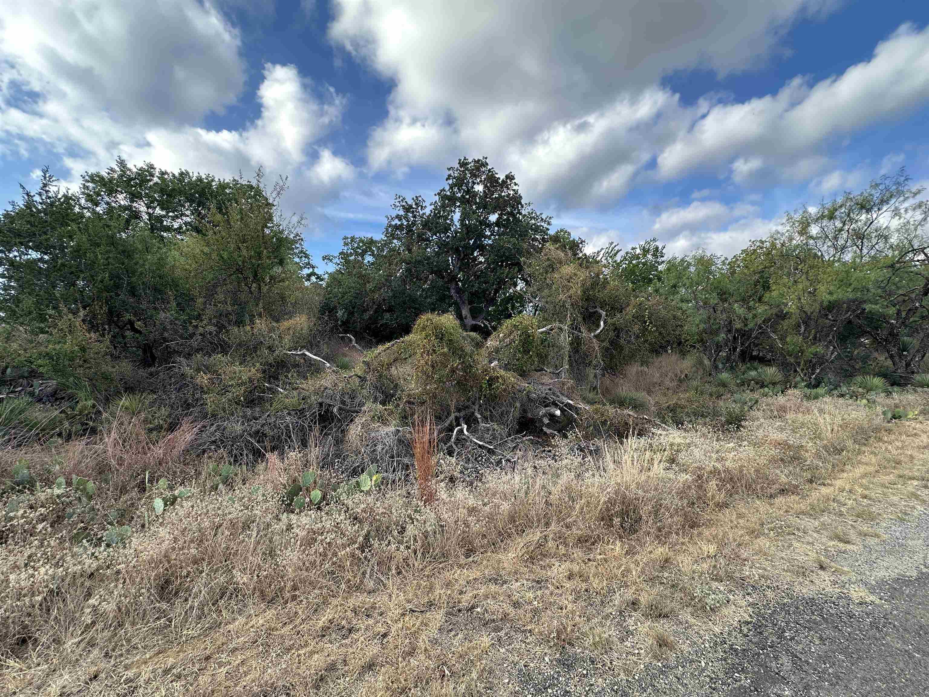 Tbd Hill Drive Granite Shoals TX 78654