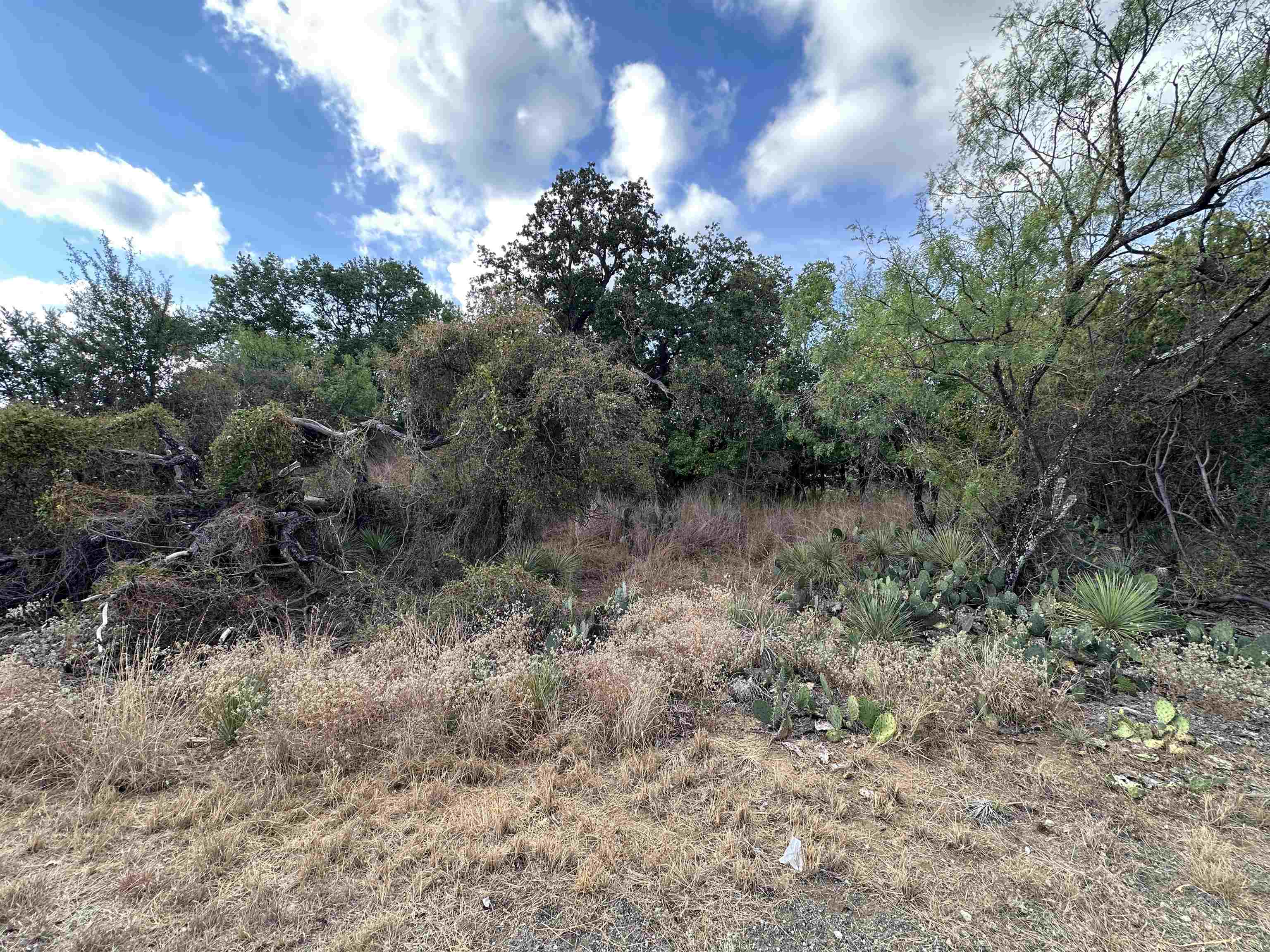 Tbd Hill Drive Granite Shoals TX 78654