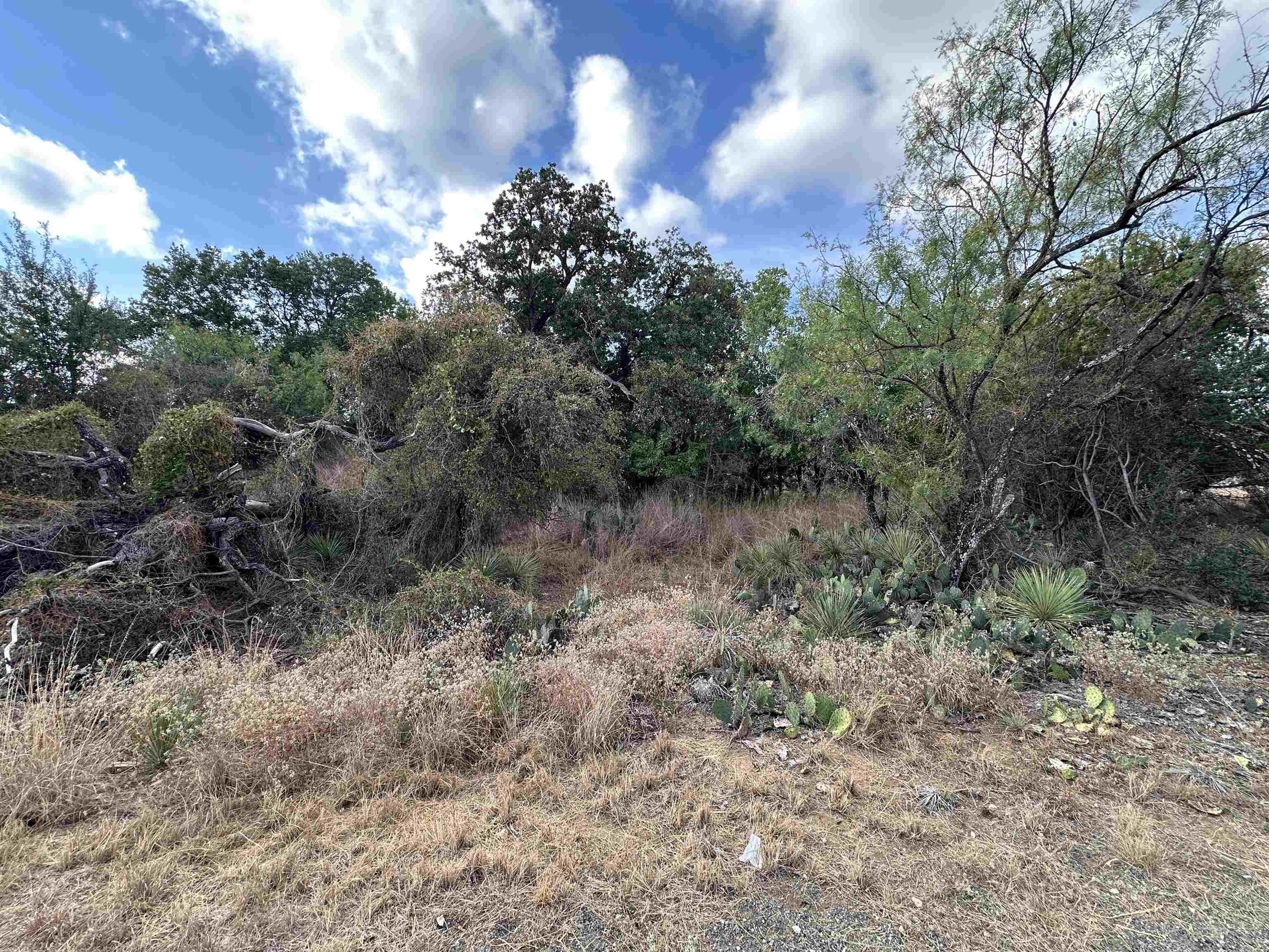 Tbd Hill Drive Granite Shoals TX 78654