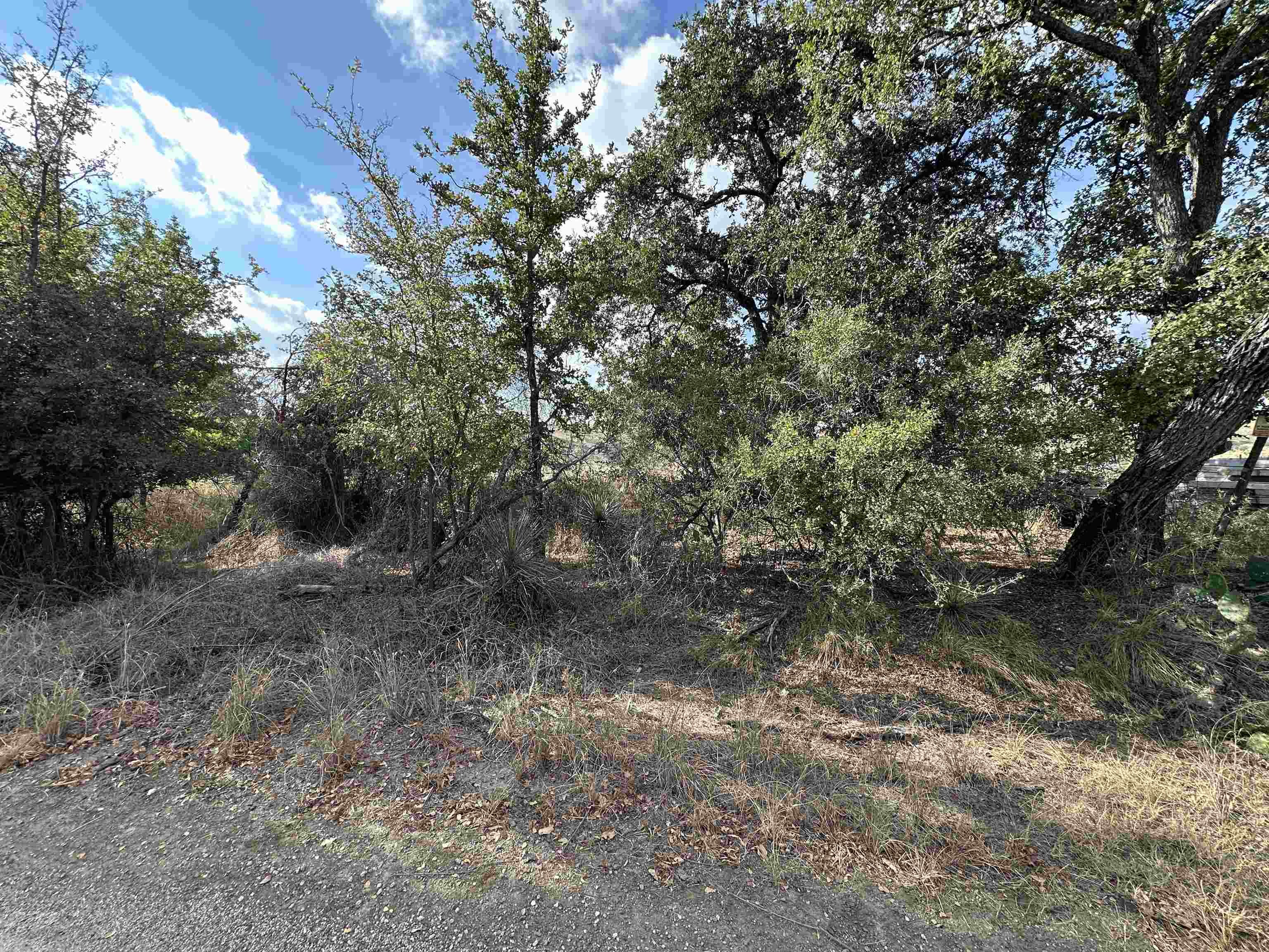 Tbd Hill Drive Granite Shoals TX 78654