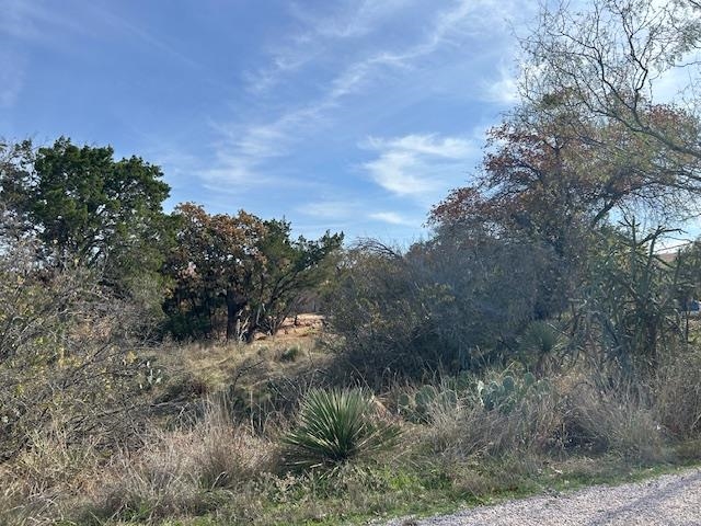 697 698 Castlehigh Granite Shoals TX 78654