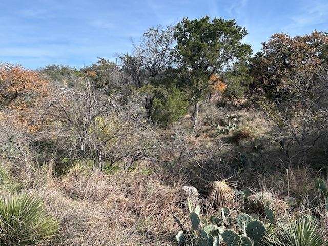 697 698 Castlehigh Granite Shoals TX 78654