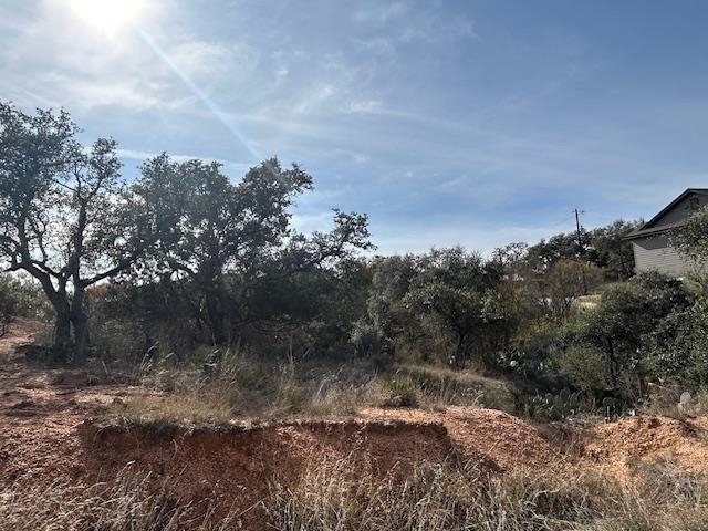 697 698 Castlehigh Granite Shoals TX 78654