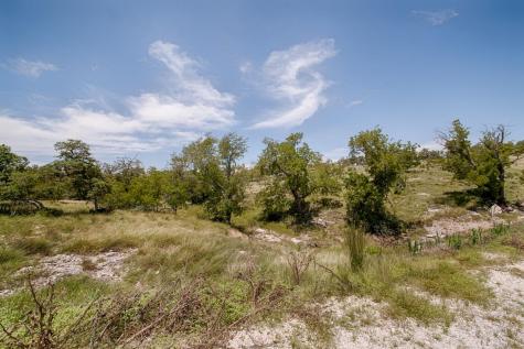 Lot 5 Longview Drive Fredericksburg TX 78624