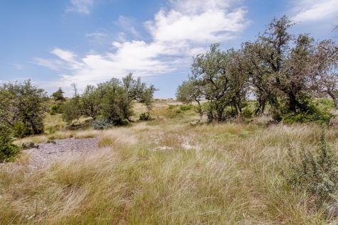 Lot 5 Longview Drive Fredericksburg TX 78624