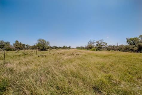 Lot 5 Longview Drive Fredericksburg TX 78624
