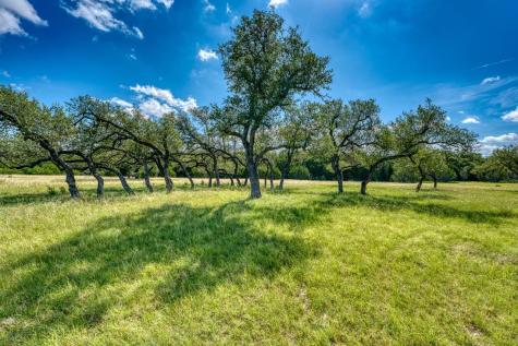Tract #16 Mr. Charlie Lane Round Mountain TX 78663