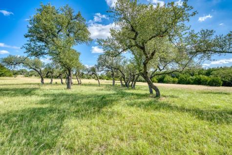 Tract #16 Mr. Charlie Lane Round Mountain TX 78663
