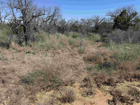 Lot 179 Longmont Drive Kingsland TX 78639