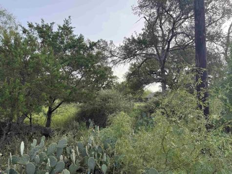 Lot 424 & 425 Oakhill Drive Granite Shoals TX 78654