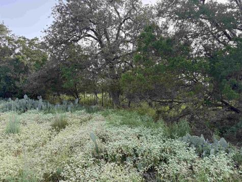 Lot 424 & 425 Oakhill Drive Granite Shoals TX 78654