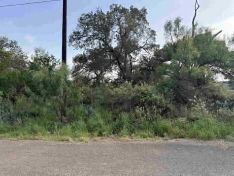 Lot 424 & 425 Oakhill Drive Granite Shoals TX 78654