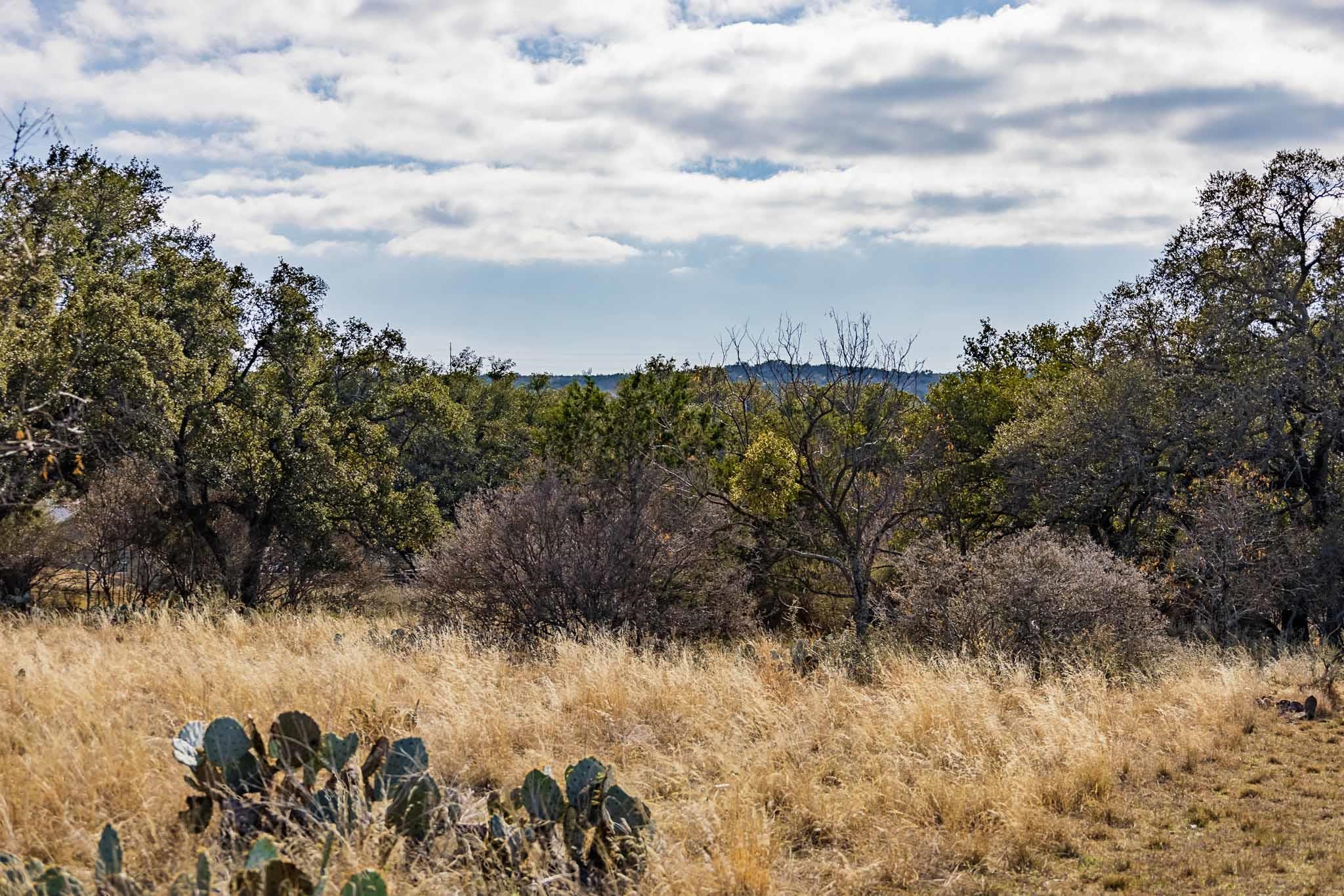 Lot 20 & 21 County Road 141 Road Burnet TX 78611
