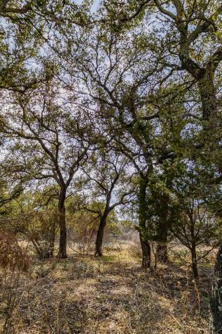 Lot 20 & 21 County Road 141 Road Burnet TX 78611
