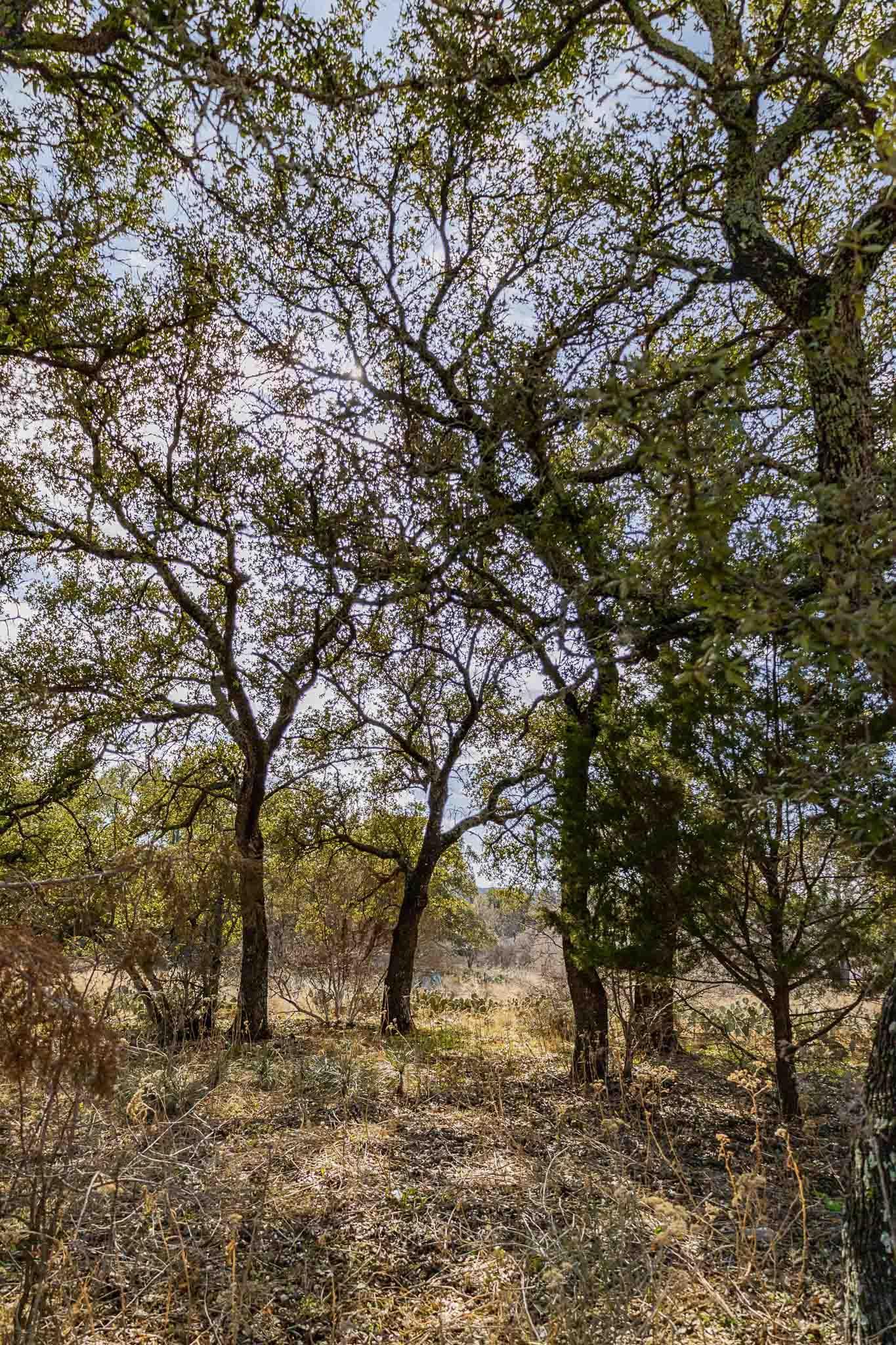 Lot 20 & 21 County Road 141 Road Burnet TX 78611