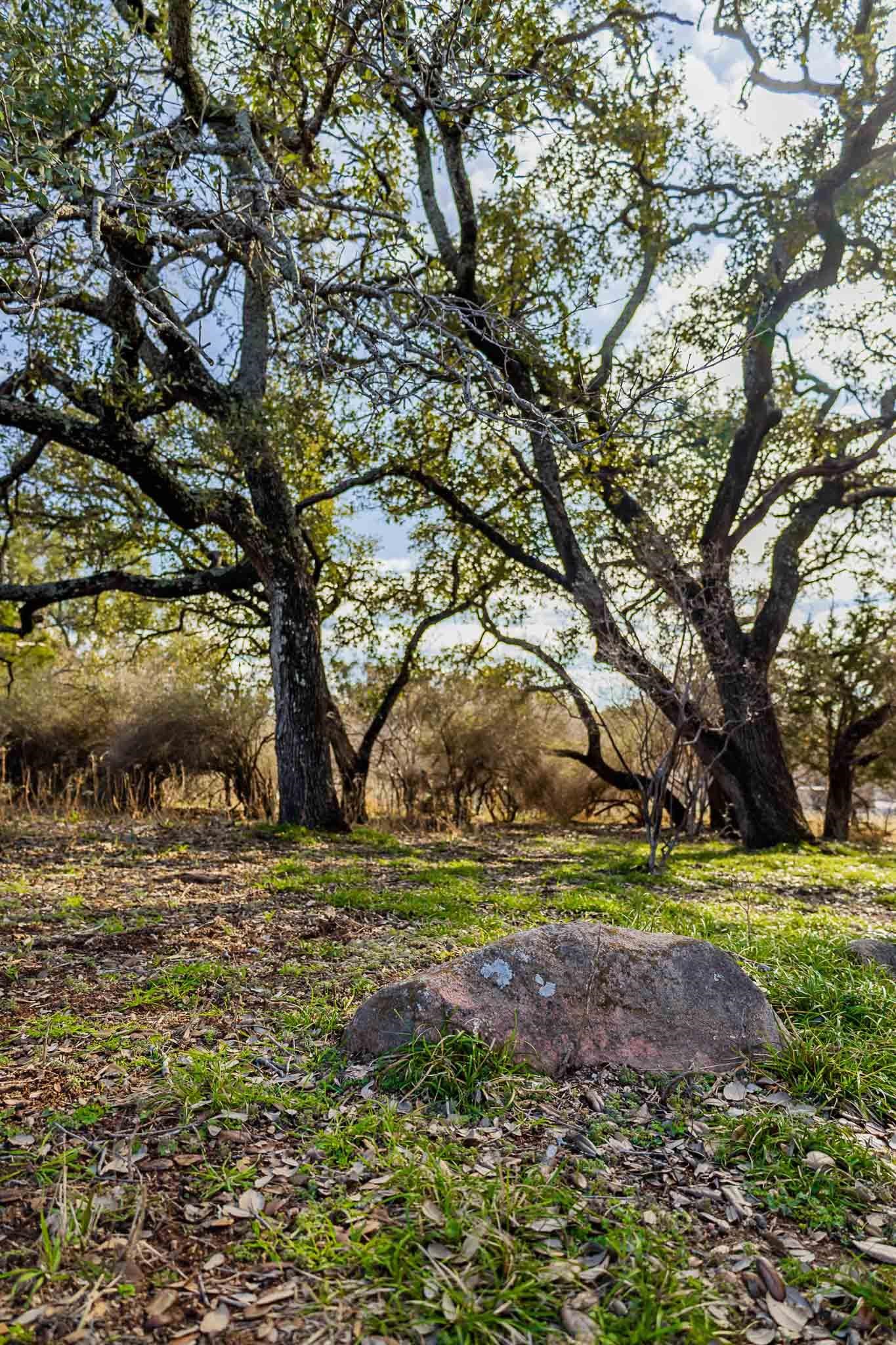 Lot 20 & 21 County Road 141 Road Burnet TX 78611