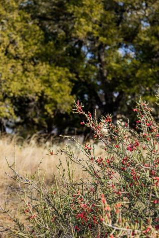 Lot 20 & 21 County Road 141 Road Burnet TX 78611