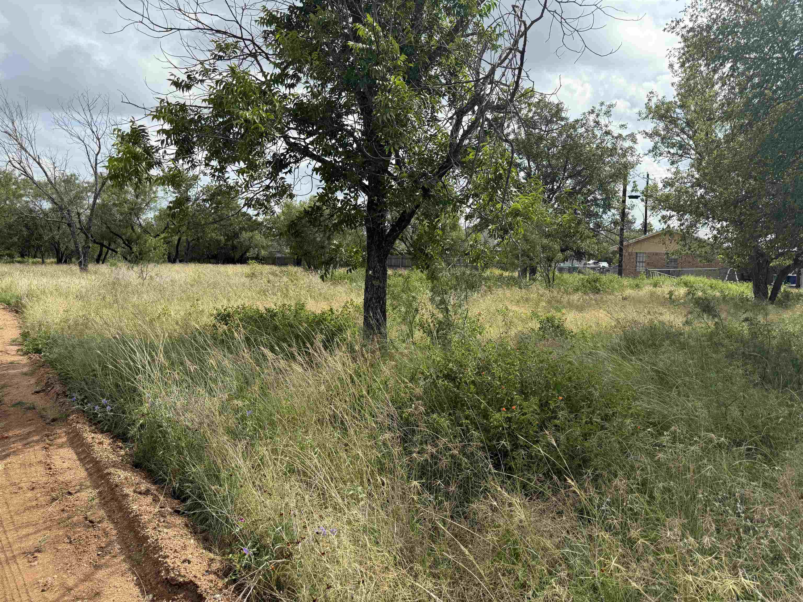 Lot 458 & 459 Fir Lane Cottonwood Shores TX 78657