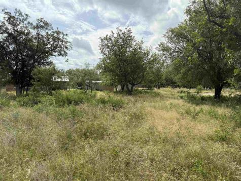 Lot 458 & 459 Fir Lane Cottonwood Shores TX 78657