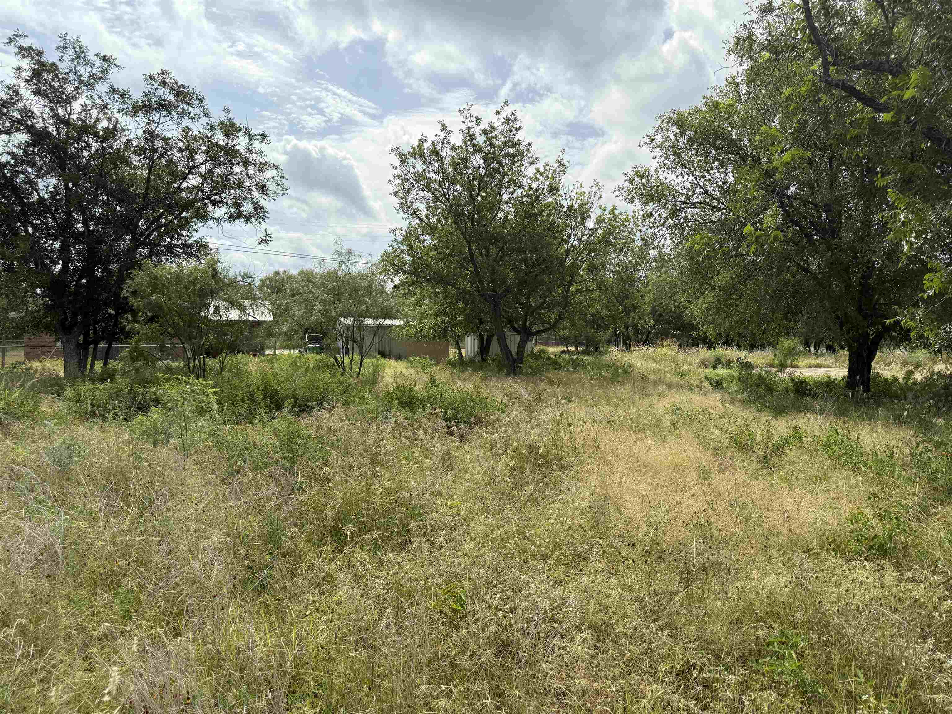 Lot 458 & 459 Fir Lane Cottonwood Shores TX 78657