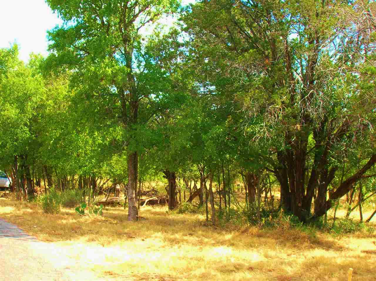 735 Birch (Lots Street To Street) Lane Cottonwood Shores TX 78657