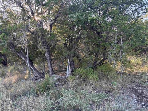 Lot K4106 Coon Court Horseshoe Bay TX 78657
