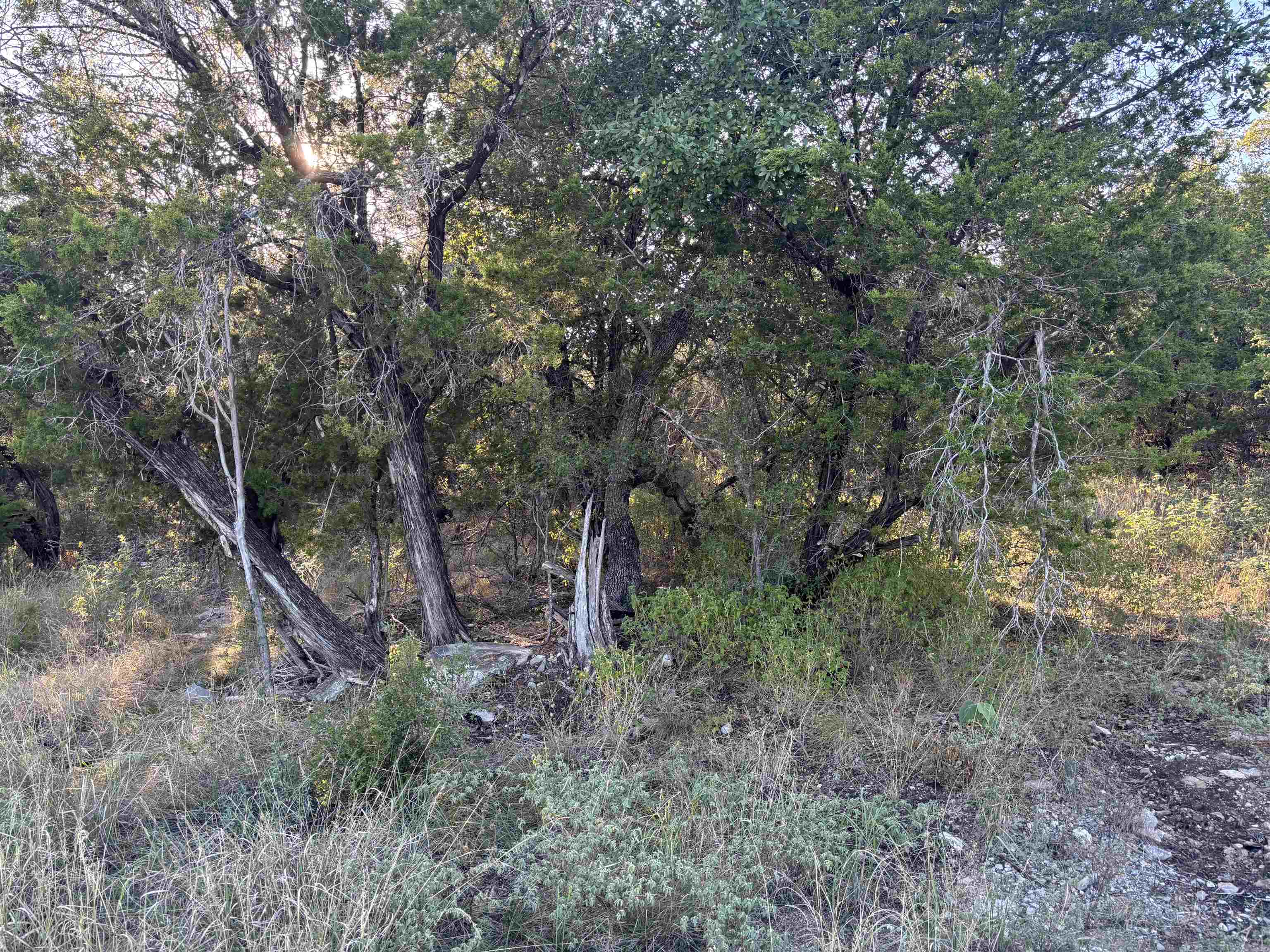 Lot K4106 Coon Court Horseshoe Bay TX 78657
