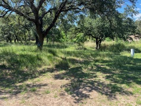 W1114 Blister Gold Horseshoe Bay TX 78657