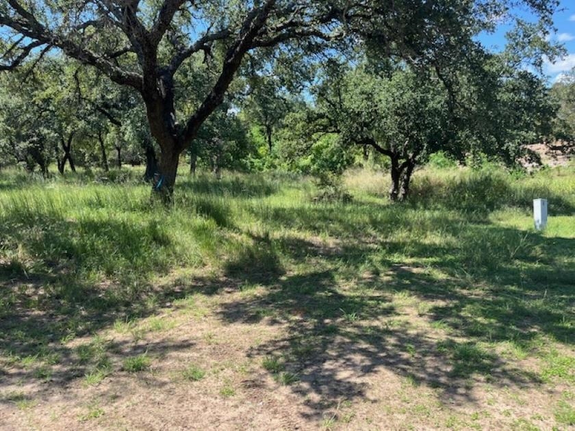 W1114 Blister Gold Horseshoe Bay TX 78657
