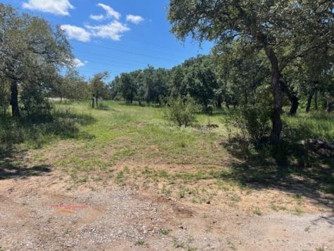 W1114 Blister Gold Horseshoe Bay TX 78657