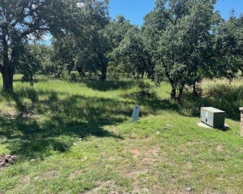 W1114 Blister Gold Horseshoe Bay TX 78657