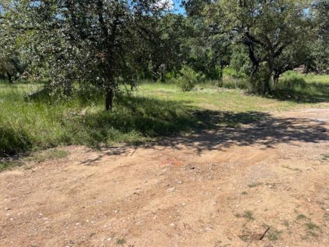 W1114 Blister Gold Horseshoe Bay TX 78657
