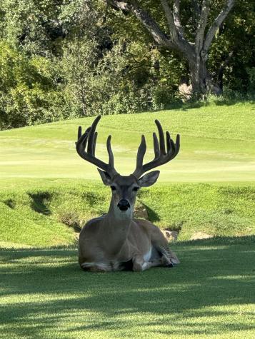 Lot 71 Encantada - Escondido Horseshoe Bay TX 78657