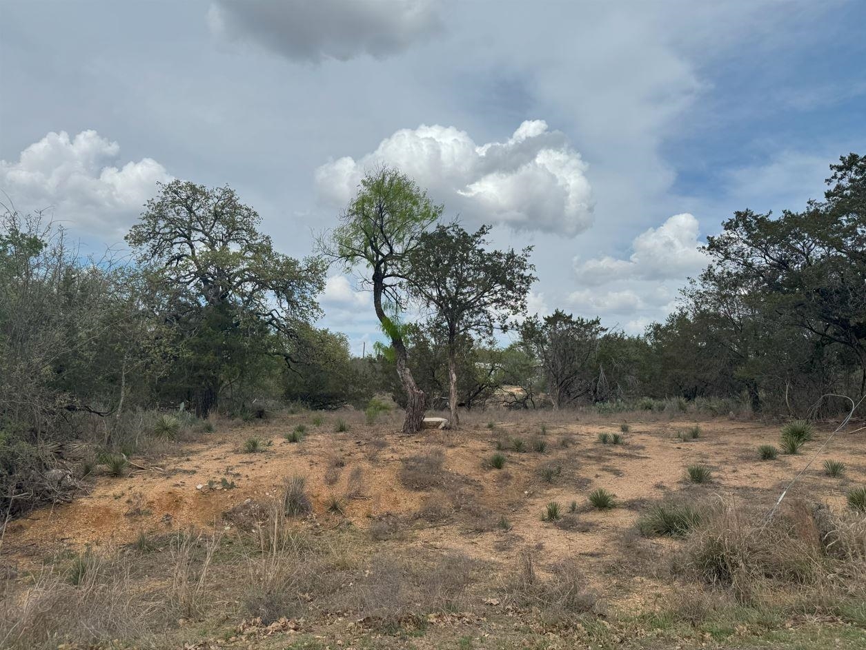 Lot 260 W Briarway Drive Granite Shoals TX 78654