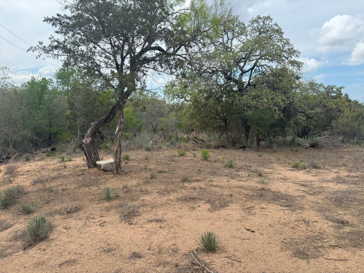Lot 260 W Briarway Drive Granite Shoals TX 78654